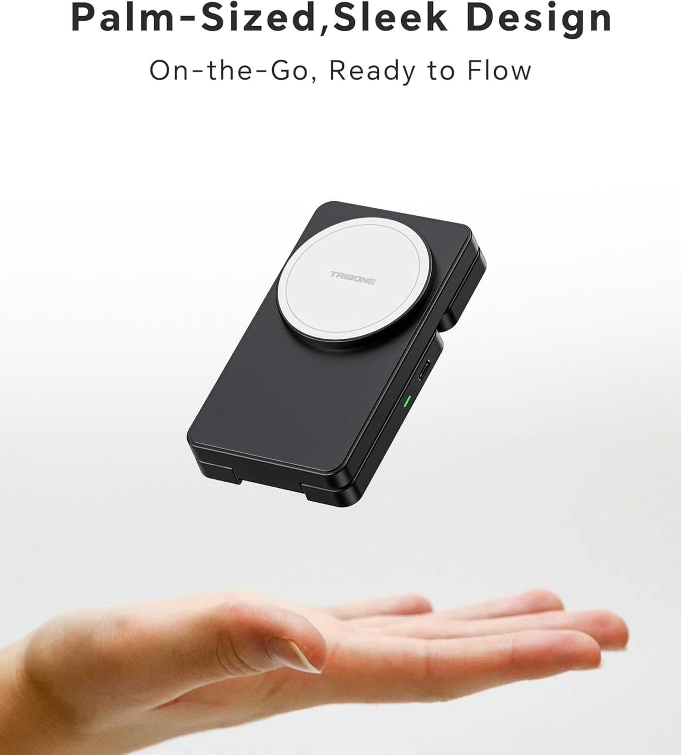 3 in 1 Charging Station for iPhone 16/15/14/13/12 Series, Wireless Charger for Apple Watch,Travel Magnetic Charging Stand for AirPods (Panda Color)