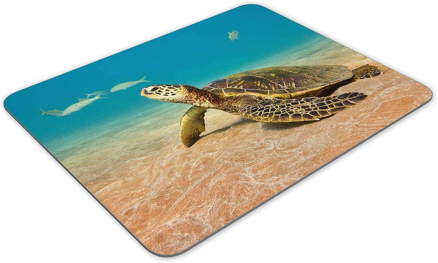 Sea Turtle Gaming Mouse Pad, Rectangle Mouse Pad Size(9.84"x7.87")