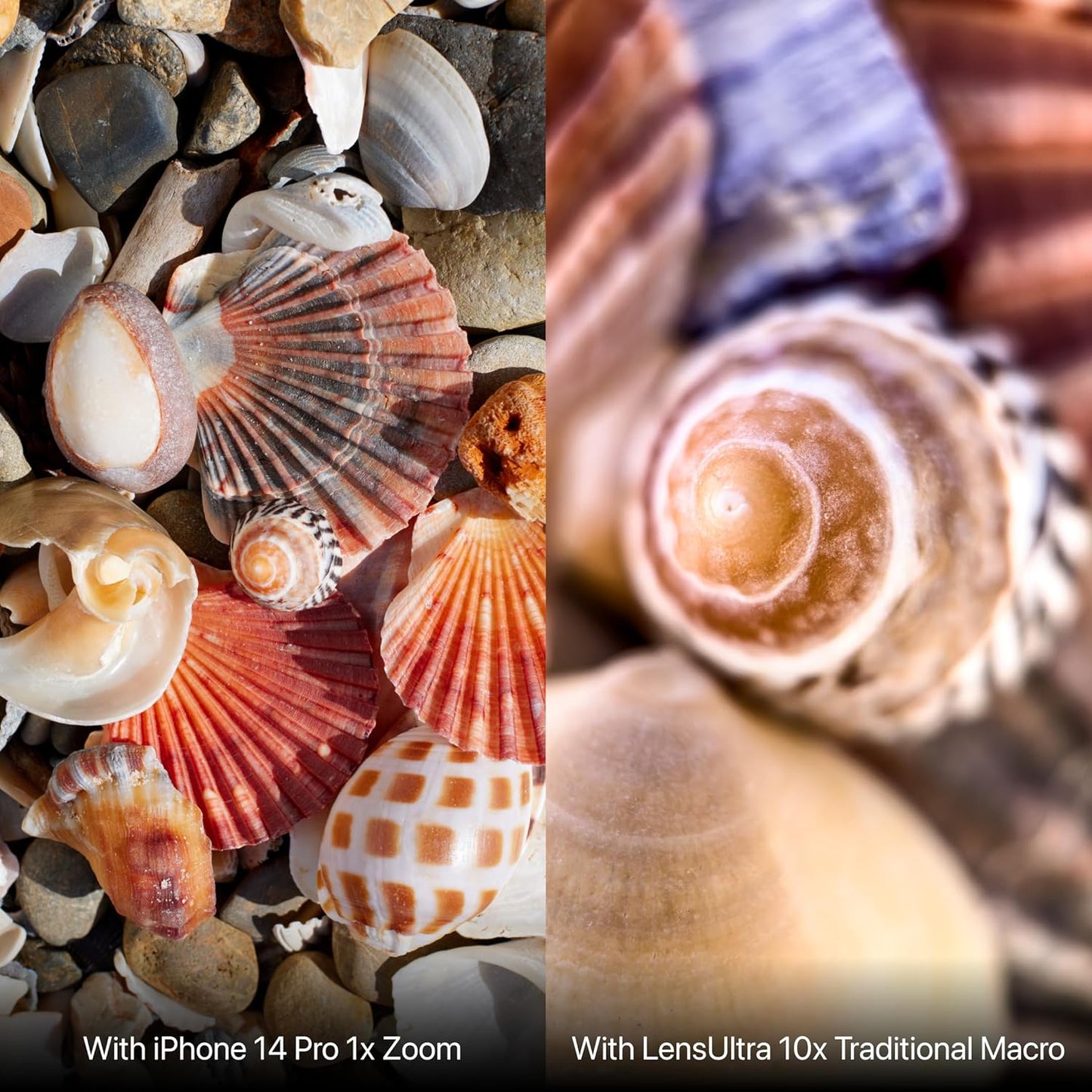 ShiftCam LensUltra 10x Traditional Macro Phone Camera Lens – 10x Magnification, 10–15mm Focus Distance – 25x Detail Capture, Macro Lens for iPhone & Android, Stunning Depth of Field – Lens Only