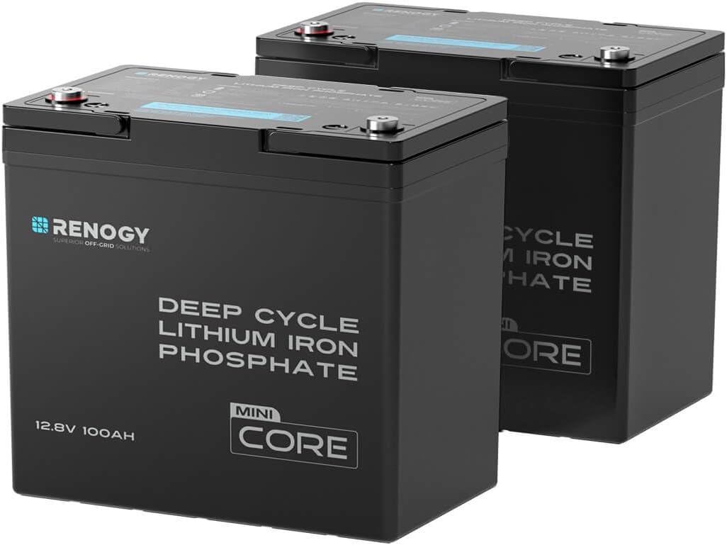 Renogy 2PCS 12V 100Ah Mini Size LiFePO4 Lithium Battery, 100A BMS for Ultimate Safety, Deep Cycle Remote Monitoring, Backup for RV, Cabin, Marine, 200ah LiFePO4 Lithium Battery - Core Series