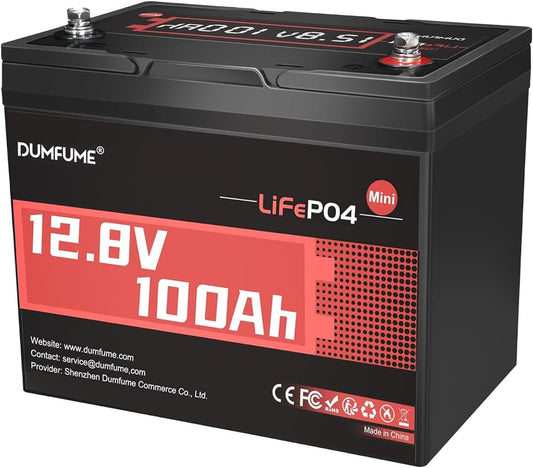 12V 100Ah Mini LiFePO4 Lithium Battery, Built-in 100A BMS,1280Wh Deep Cycle Rechargeable Battery 6000+ Cycles 10-Year Lifespan for RV, Solar, Marine and Home Energy Storage