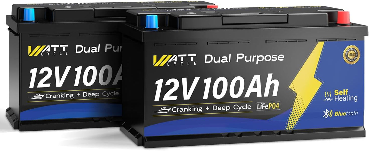 12V 100Ah Bluetooth LiFePO4 Battery, [Cranking &Deep Cycle] Lithium Battery with Self-Heating, Built-in 200A BMS, Perfect for Trolling Motor, RV, Marine, Boat(2 Pack)