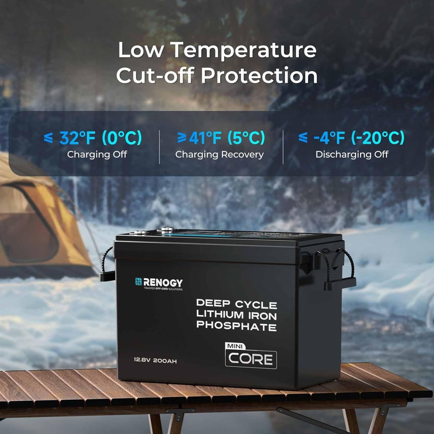 Renogy 12V 200Ah LiFePO4 Lithium Battery Mini Size, Up to 5000+ Deep Cycles, 200A Upgraded BMS, 380A Peak Discharge W/Low Temp Protection, Compact Size for RV, Marine, Solar, Trolling Motor Backpower