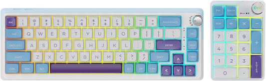 K68 Pro Gaming Keyboard, Layout Compact Wireless Mechanical Keyboard, Gasket Hot Swappable Custom BT 5.0/2.4G/USB-C Office Keyboard for Windows Mac (Blue-White, Eternity Tactile Switch)