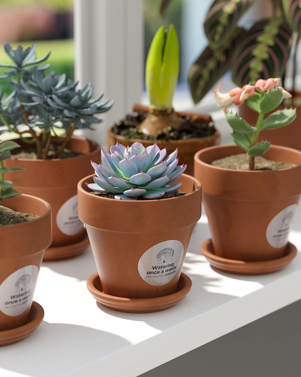 MUNBYN 2 Inch (50.8mmx50.8mm) Silver Fine Glitter Thermal Labels, Round Thermal Printer Stickers for Small Businesses, 500 Labels/1 Roll