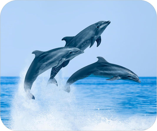 Coastal Shoreline Waves Sandy Beach Theme Mouse Pad Mat Mousepad for Desk Computer Laptop PC Gaming Home or Office Gift (Jumping MP19)