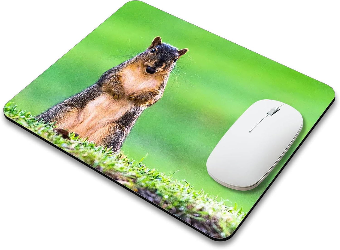 A Cute Animal on The Grass Mouse Pad Mat Rectangle Mousepad for Computer Laptop Home Office