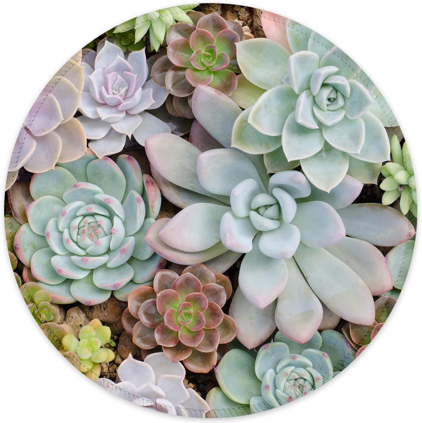 ITNRSIIET Round Mouse Pad with Stitched Edge Premium-Textured Waterproof Non-Slip Rubber Base Desktop Protection Mat Diameter 8.7 inches, Succulents