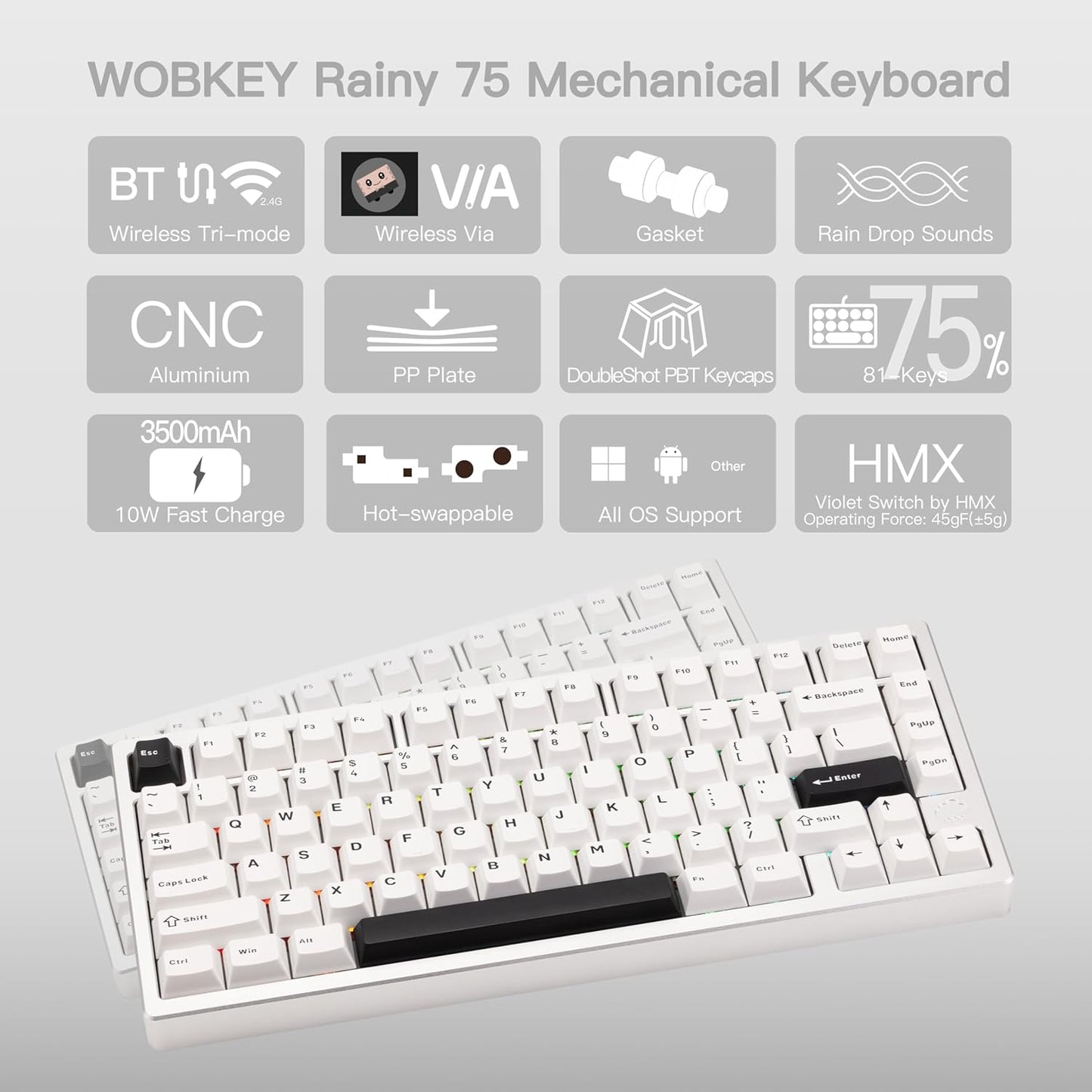 KEEBMONKEY WOBKEY Rainy 75 CNC Aluminum HMX/JWK/Cocoa Switches Triple-Mode Connectivity Mechanical Keyboard with Superior Acoustics, RGB/PP/Mirrored Glass/3500mAh/Violet Switch (Standard - Silver)