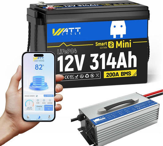 12V 314Ah Mini LiFePO4 Battery Bluetooth with 12V 60A Charger, 12Volt 300Ah + Lithium Batterys BMS 200A, 4.01kWh Energy, Upgraded Aluminum Cooling Fins & Braided Copper Wires