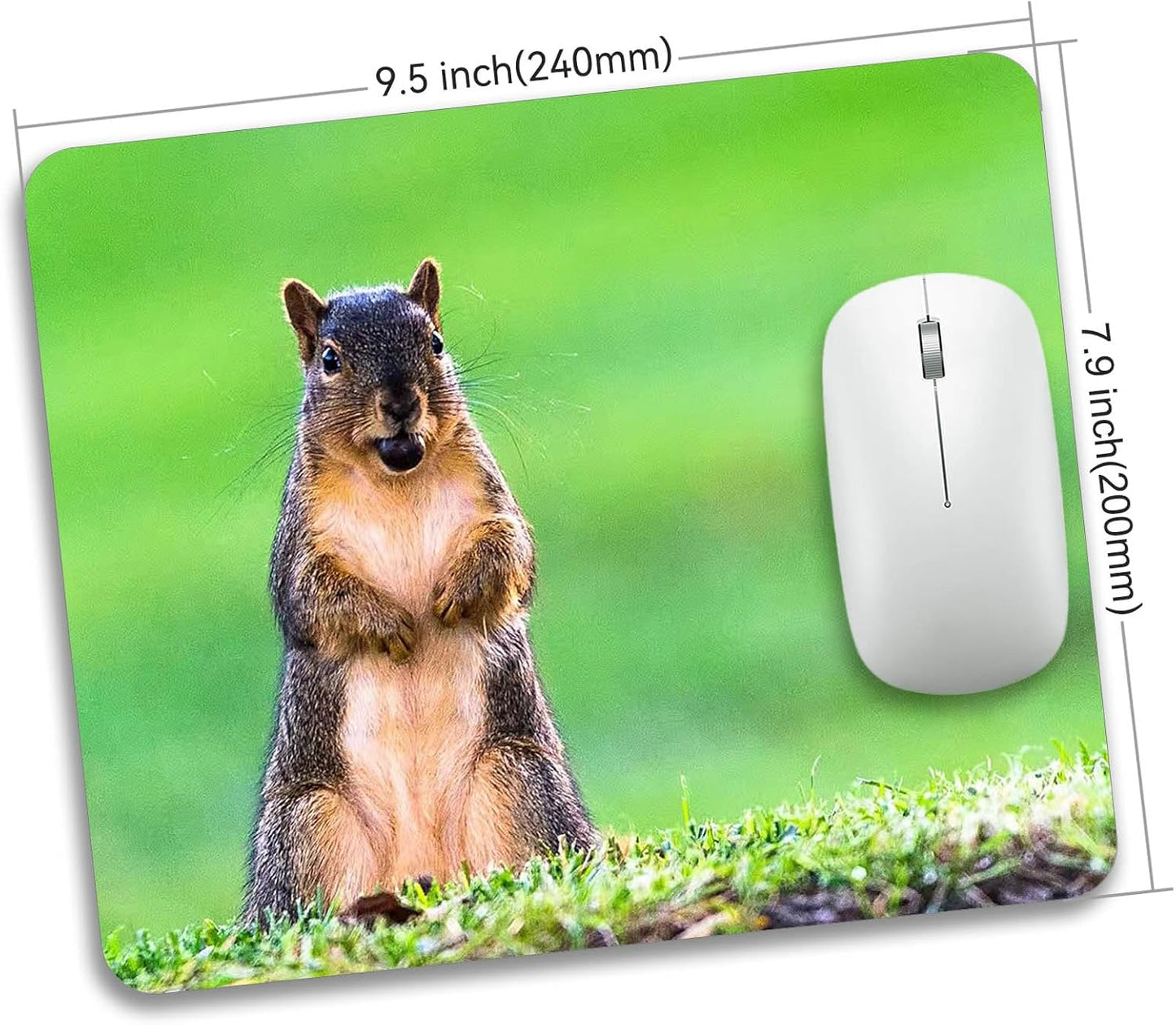 A Cute Animal on The Grass Mouse Pad Mat Rectangle Mousepad for Computer Laptop Home Office