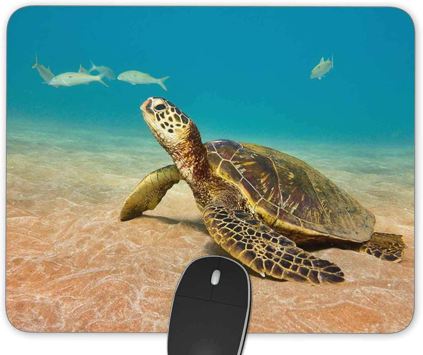 Sea Turtle Gaming Mouse Pad， Rectangle Mouse Pad Size(9.84"x7.87")