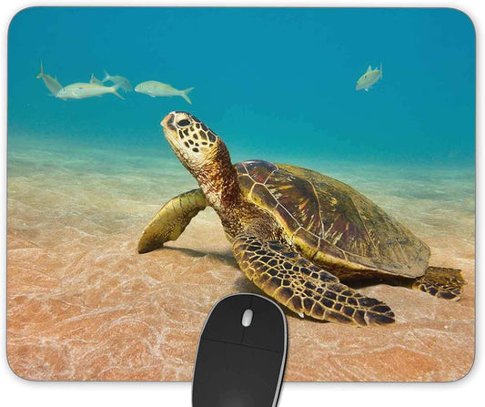 Sea Turtle Gaming Mouse Pad， Rectangle Mouse Pad Size(9.84"x7.87")