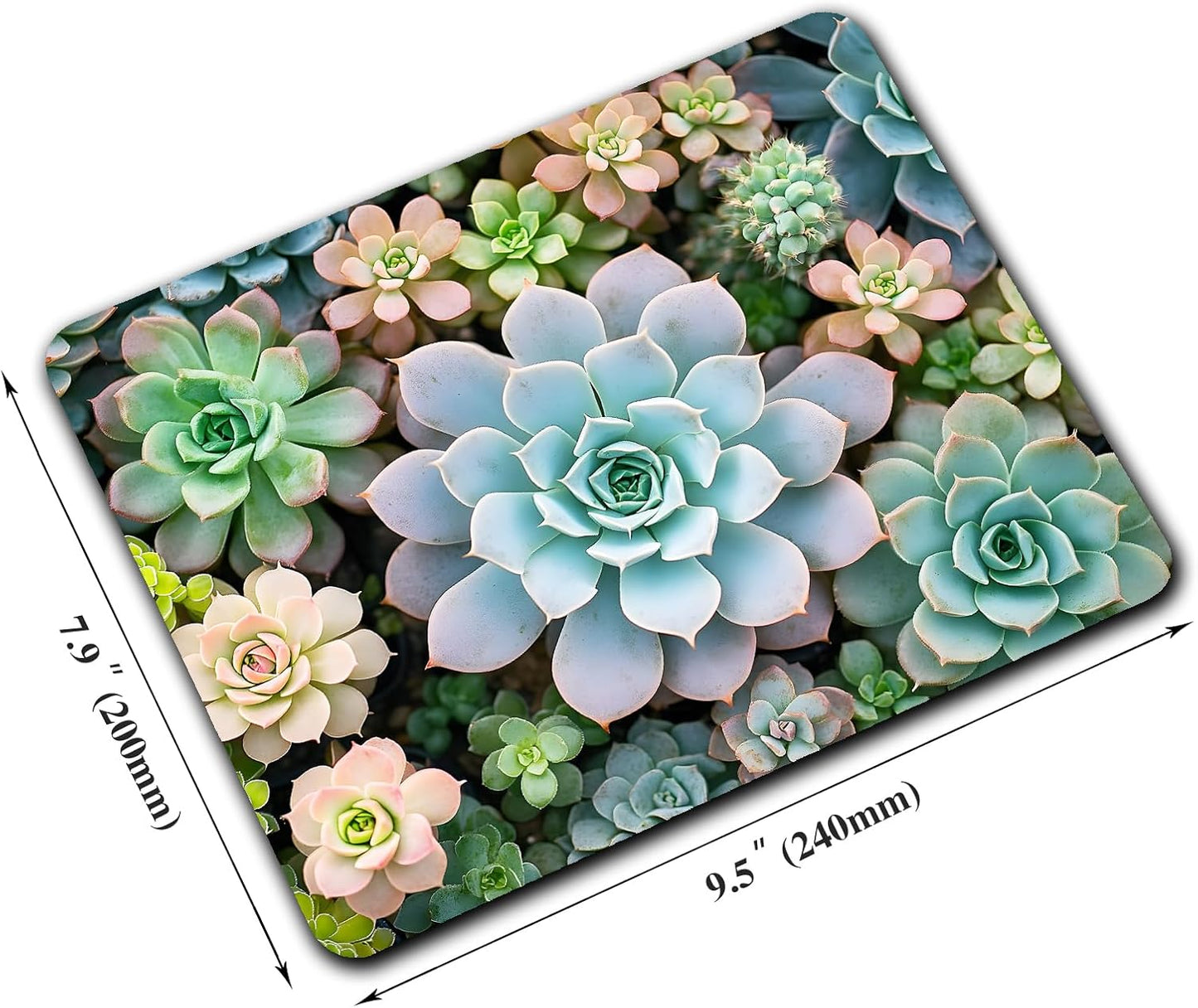 Cute Succulent Plants Mouse Pads for Desk, Portable Wireless Computer Mouse pad Small Design with Women, Non-Slip Rubber Base Laptop Mousepad 9.5" x 7.9" Smooth Surface for Office & Travel