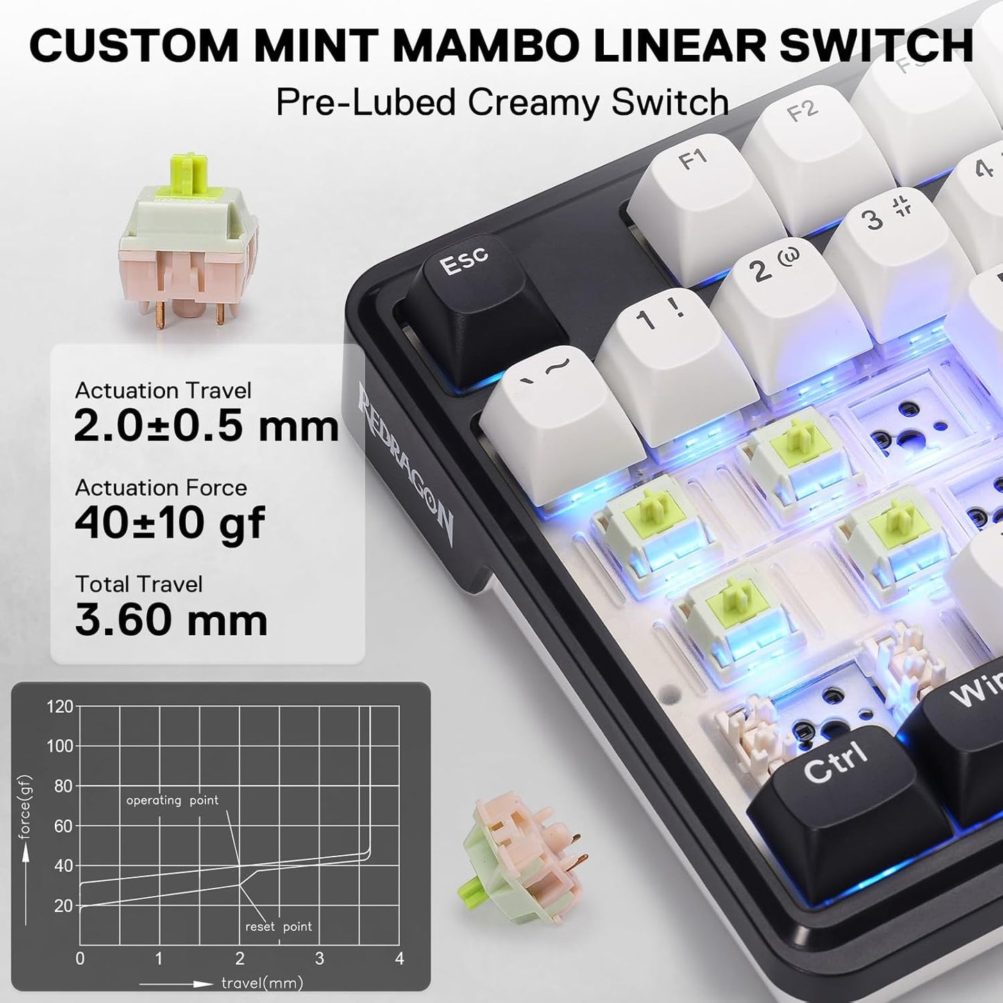 Redragon K745 PRO Wireless Gasket RGB Gaming Keyboard, 108 Keys Mechanical Keyboard w/Extra 4 Hotkeys, Hot-Swap South-Facing LED Socket, 5-Layer Noise Dampening, Round PBT Keycaps, Mint Mambo Switch