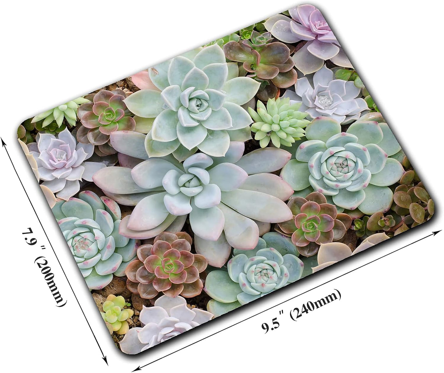 Cute Succulents Mouse Pad, Natural Plants Mousepad for Design, Anti-Slip Rubber Base Wireless Mouse Pads for Laptop