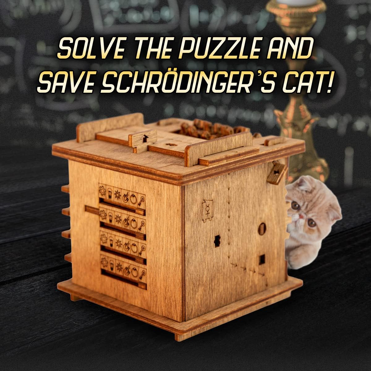 iDventure Cluebox - Schroedingers Cat - Escape Room Game - Puzzle Box - 3D Wooden Puzzle for Adults - Treasure Gift Box - Brain Teaser - Birthday Gift Gadget for Men and Women - Money Box