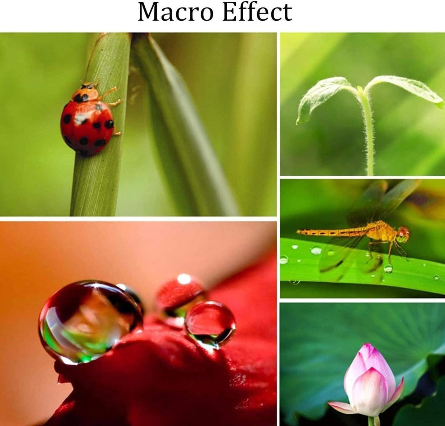 3 in 1 Cell Phone Camera Lens Kit Wide Angle Macro Fisheye Lens Universal for Smart Phones iPhone Samsung Android Black