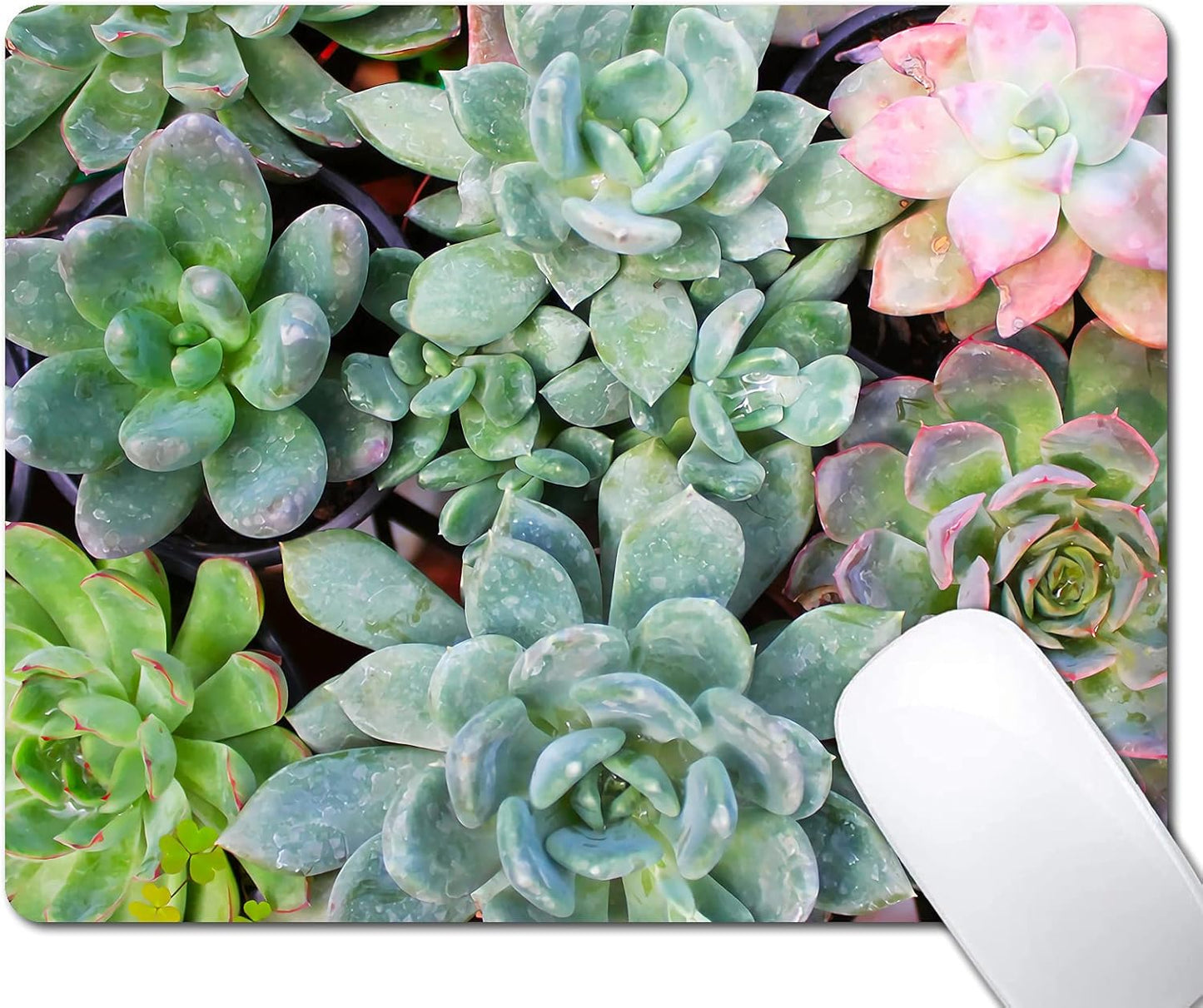 Cute Succulents Mouse Pad, Kawaii Succulent Mouse Pad for Women, Anti-Slip Rubber Base Wireless Mouse Pads for Laptop