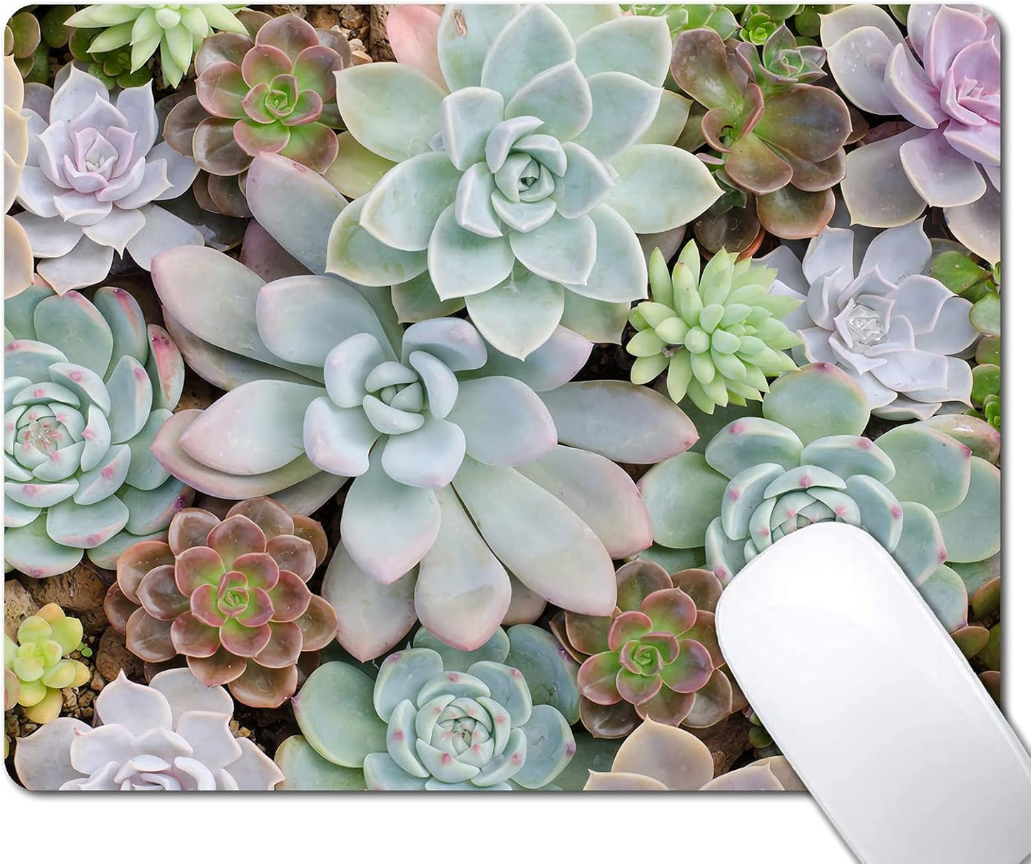 Cute Succulents Mouse Pad, Natural Plants Mousepad for Design, Anti-Slip Rubber Base Wireless Mouse Pads for Laptop