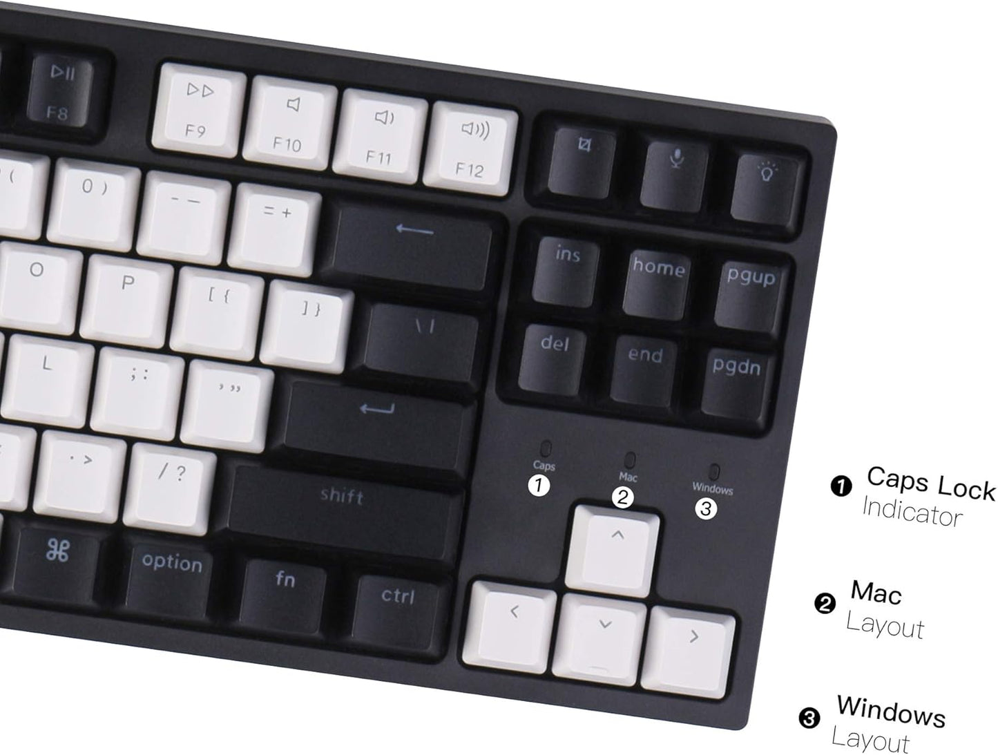 Keychron C1 Wired Mechanical Keyboard TKL, RGB Backlit with Double-Shot ABS Keycaps, 87 Keys Hot-Swappable Pre-lubed Tactile Switch Compatible with Mac Windows