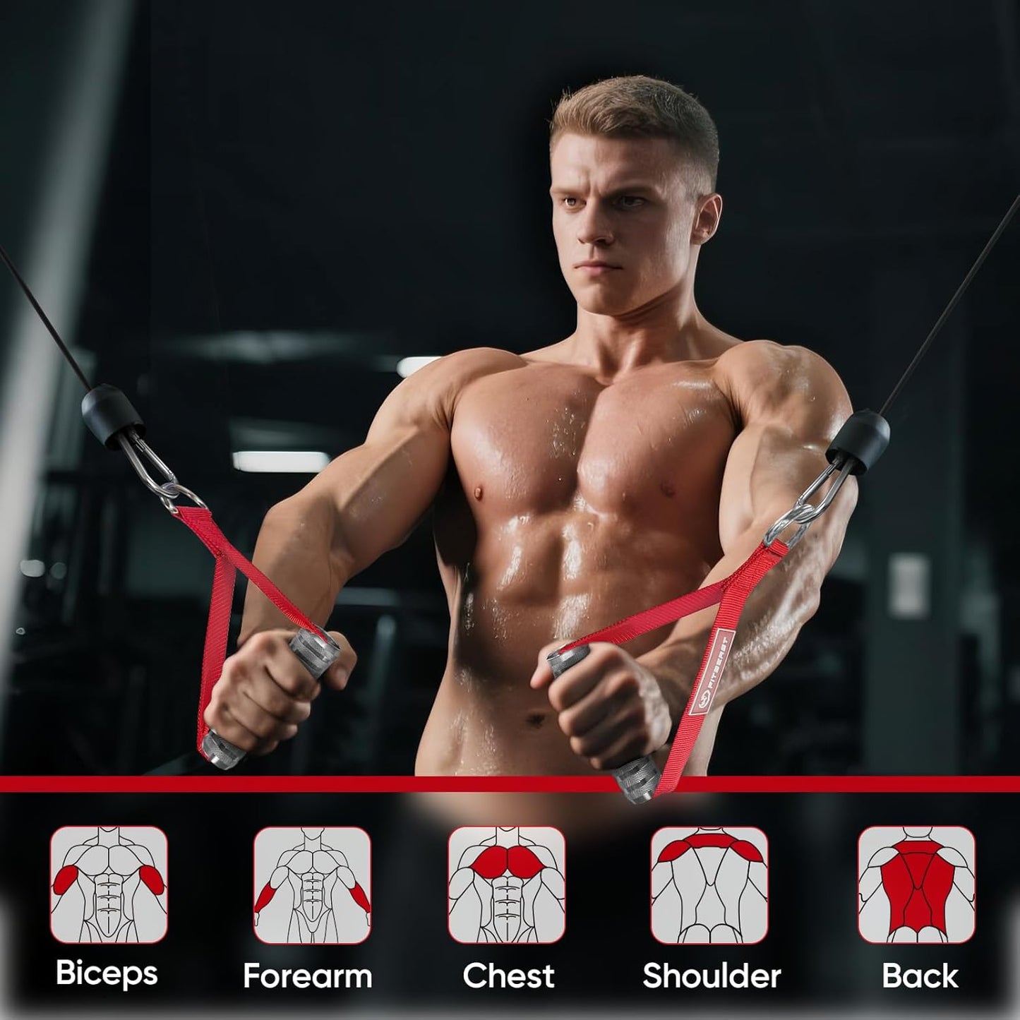 FitBeast Aluminum Exercise Handles & Lifting Straps Set - Replacement Gym Handles for Cables Machine, Pulley System, Strength Trainer, Pull Down Workout Handles, Pilates, Home Gym Cable Attachments