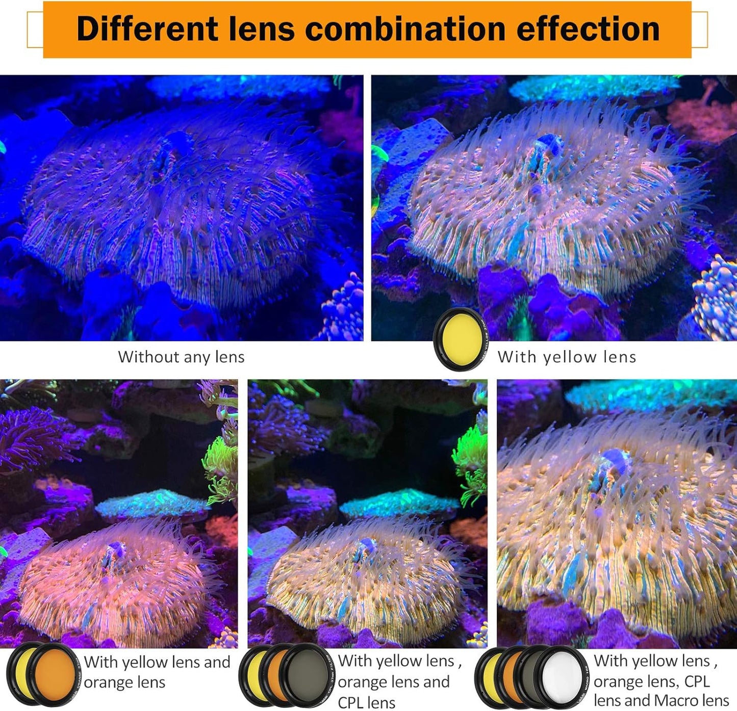 Reef Coral Lens Phone Kits 5 Lenses Kit 1 Dust Shield Case 2 Lens Clips