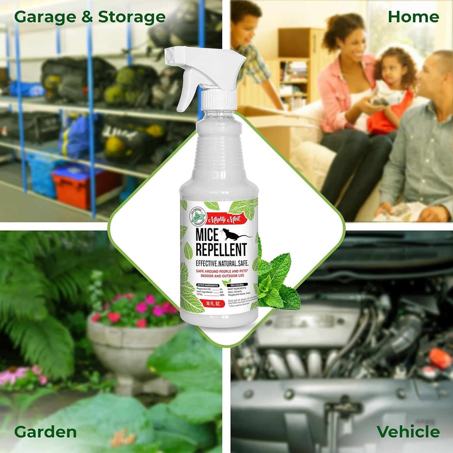 Mighty Mint Peppermint Oil Mouse Repellent Spray – Natural Indoor & Outdoor Control for Mice and Rodents – Plant-Based, Extra-Strong Formula - 16 oz (Pack of 2)