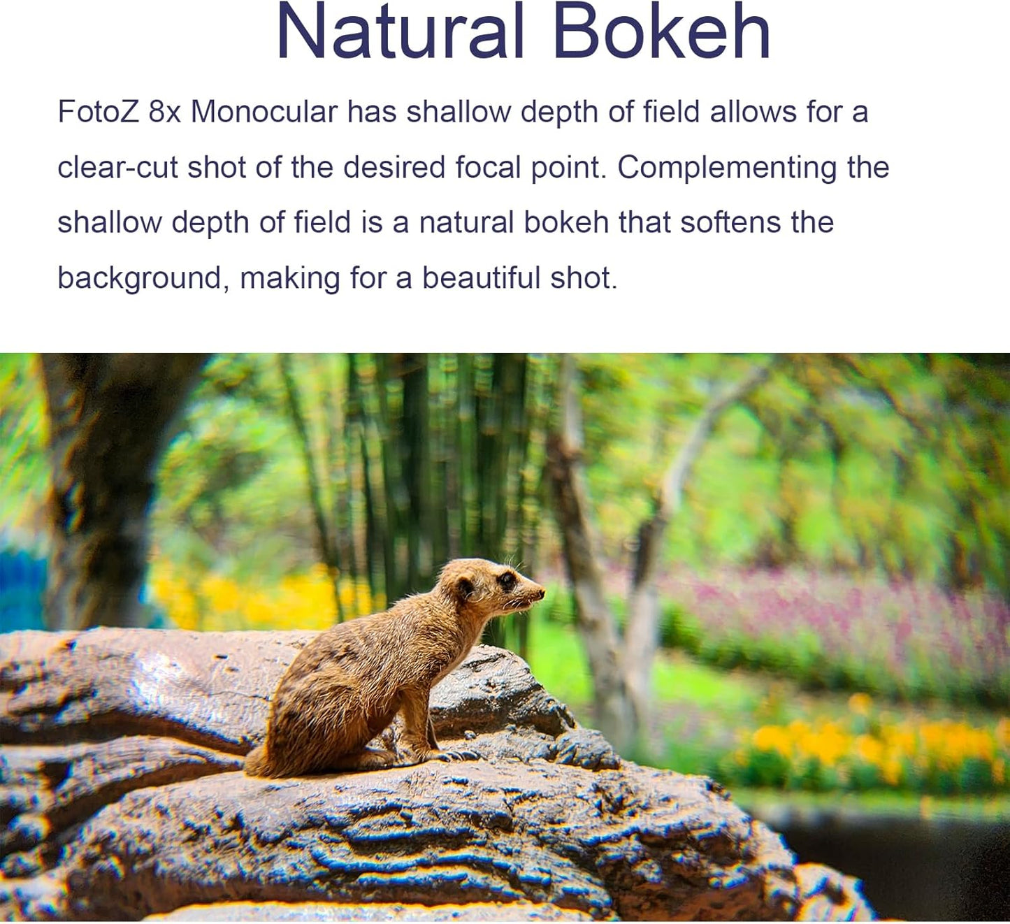 FotoZ 8X Monocular Telescope for iPhone & Android and Most Smartphone, with 8X Optical Zoom Telephoto Lens & 17mm Universal Phone Clip & Storage Bag