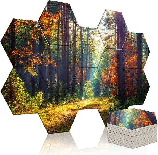 Mollywell Art Acoustic Panels, Soundproofing, Wall Decoration, Suitable for Decorative Soundproof Wall Panels, Room Aesthetics & Echo Reduction (Forest Autumn), 12x10x0.4 Inch