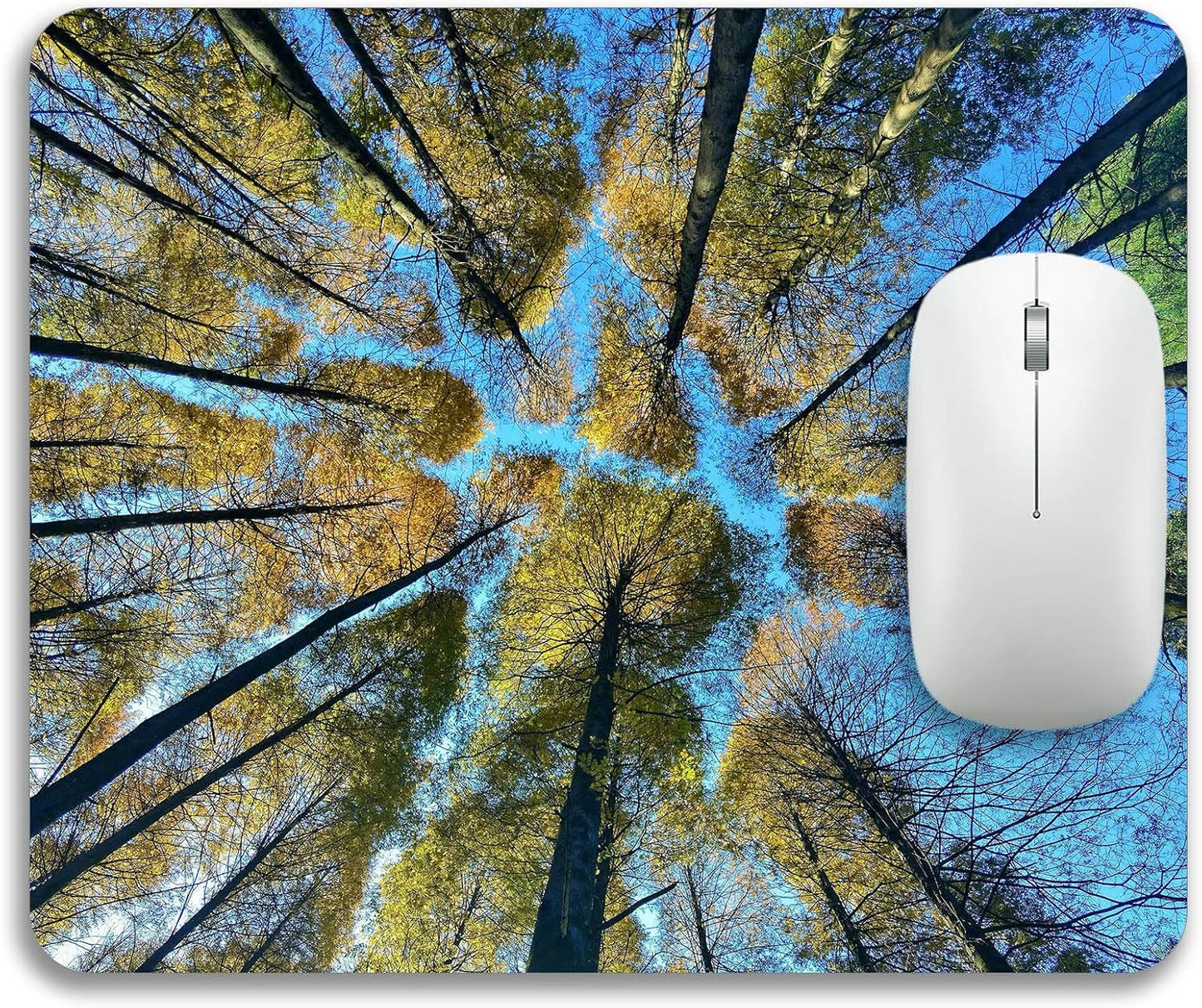 The Trees Under Blue Sky Mouse Pad Mat Rectangle Non-Slip Rubber Mousepad for Office Laptop
